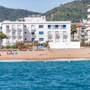 book here